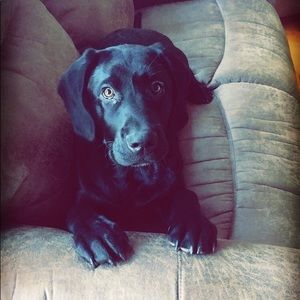 Meet your Posher, Tara